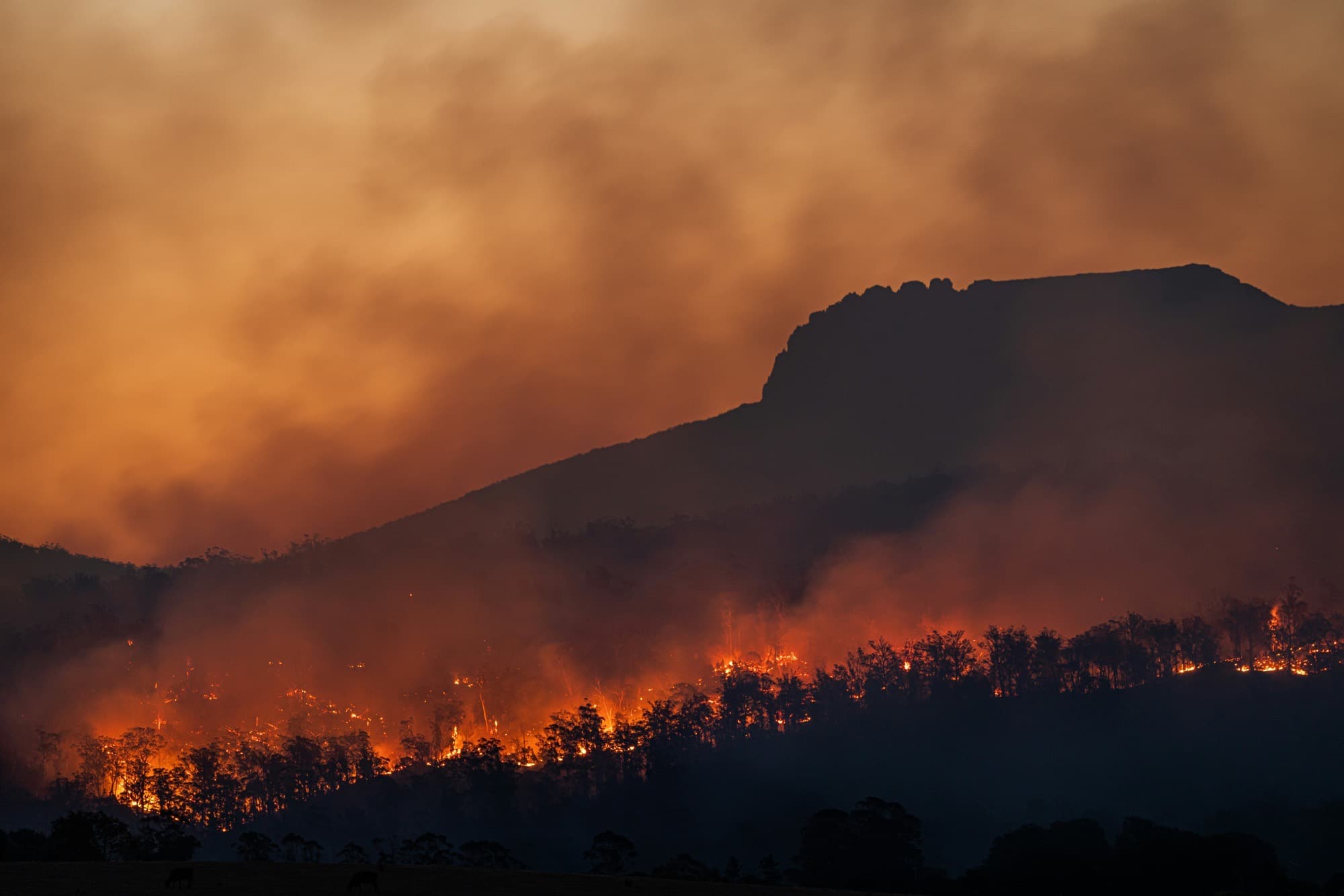 Wildfire glow over hill country at dusk